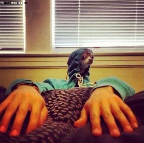 Der richtige Blickwinkel