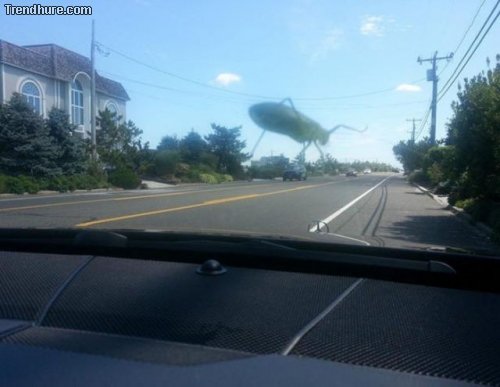 Der richtige Blickwinkel