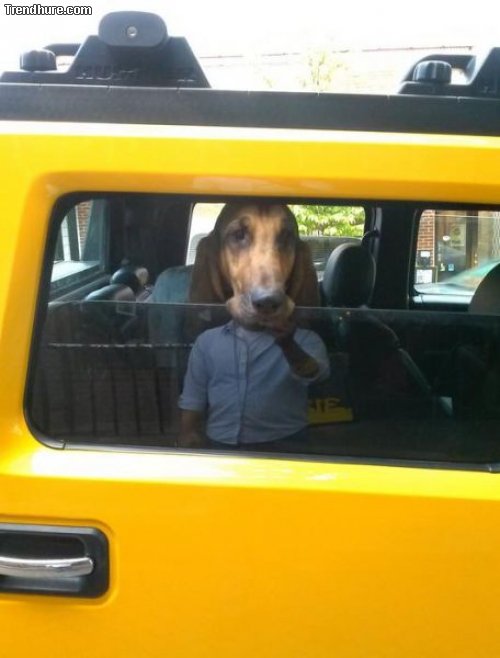 Der richtige Blickwinkel