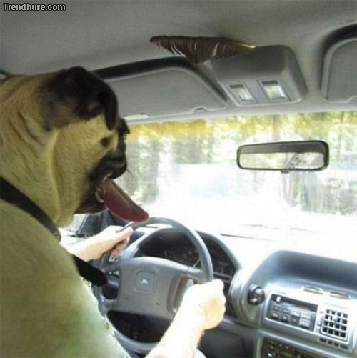 Der richtige Blickwinkel