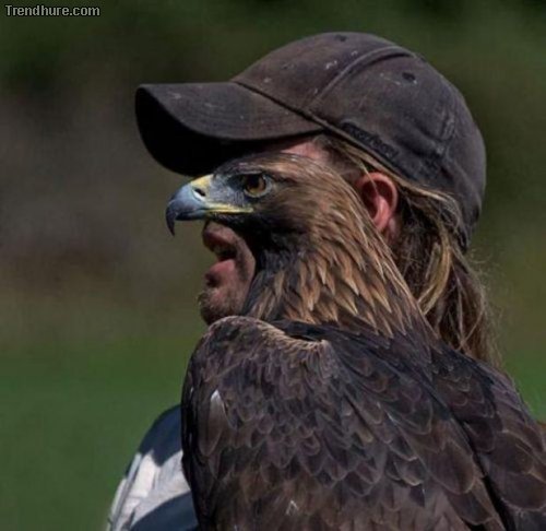 Der richtige Blickwinkel