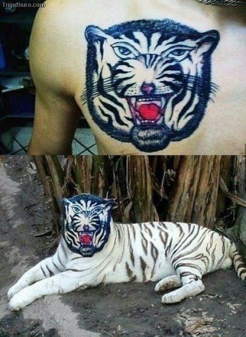 Tolle Tattoos #3