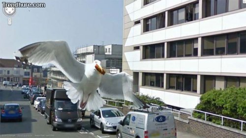 Kuriose Google Street View-Fotos #4