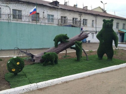 Meanwhile in Russia #21
