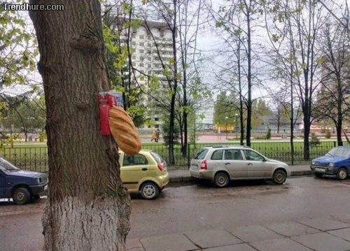 Meanwhile in Russia #21