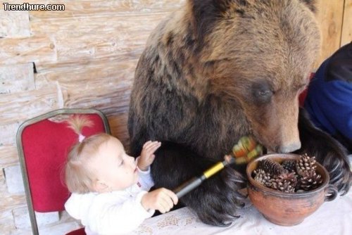 Meanwhile in Russia #21