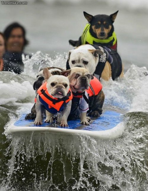 Picdump