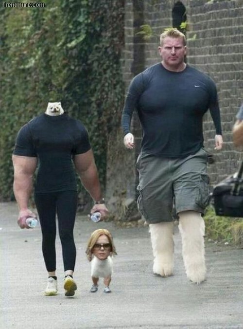 Picdump