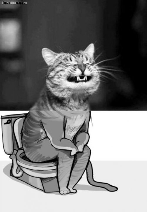 Picdump