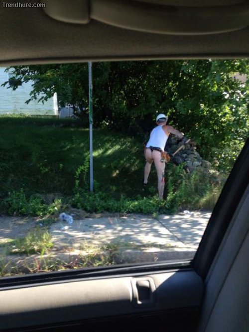 Picdump