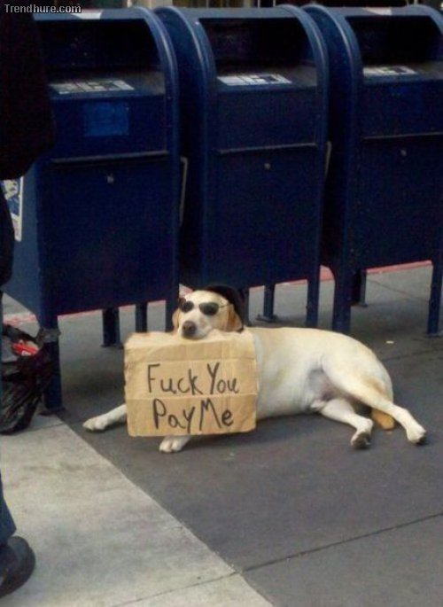Picdump
