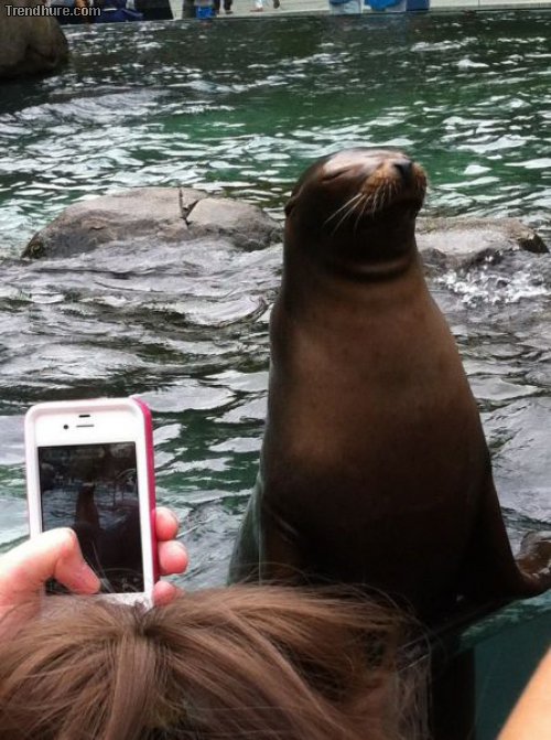 Picdump