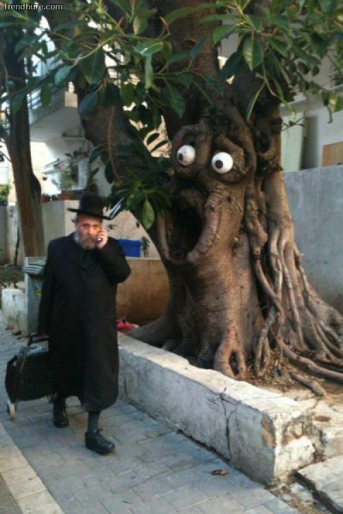 Picdump