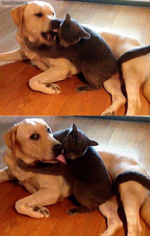Picdump