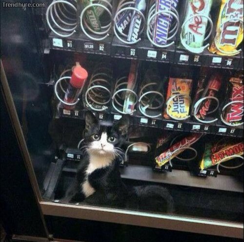 Picdump