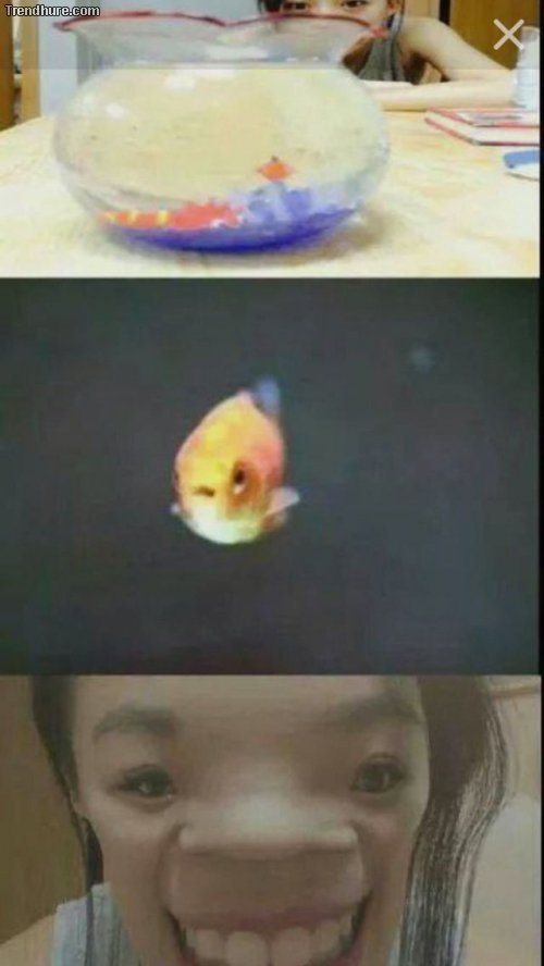 Picdump