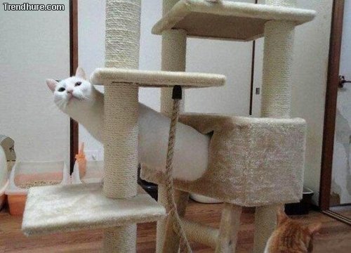 Der richtige Blickwinkel