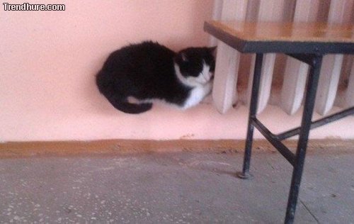 Der richtige Blickwinkel