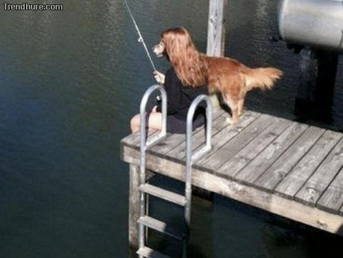 Der richtige Blickwinkel