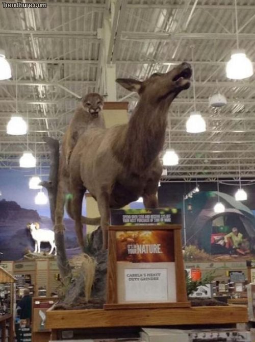 Der richtige Blickwinkel