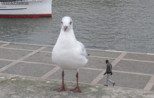 Der richtige Blickwinkel