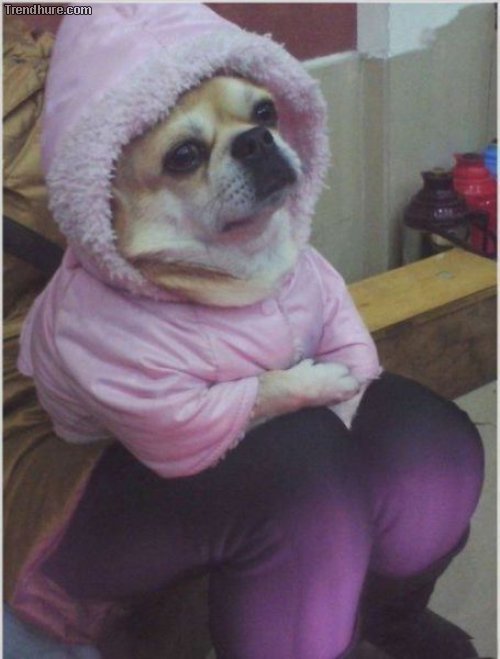 Richtiger Blickwinkel