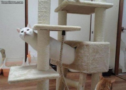 Richtiger Blickwinkel