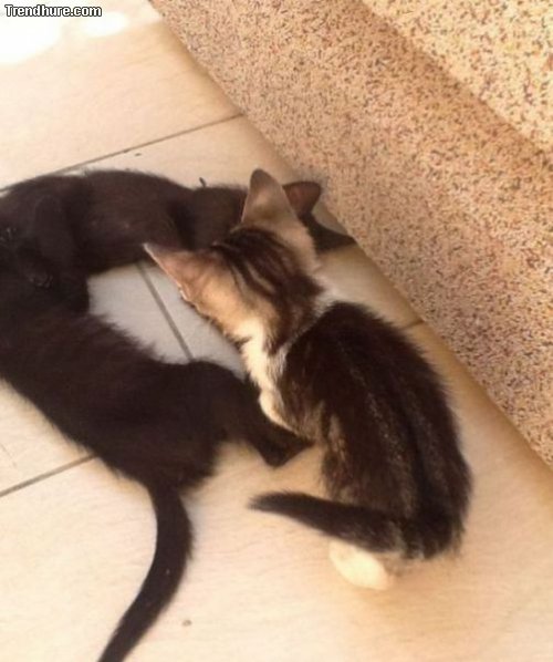 Richtiger Blickwinkel