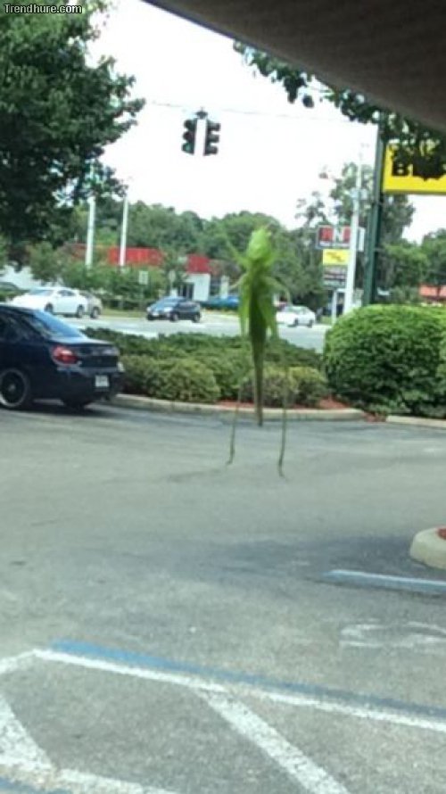 Richtiger Blickwinkel