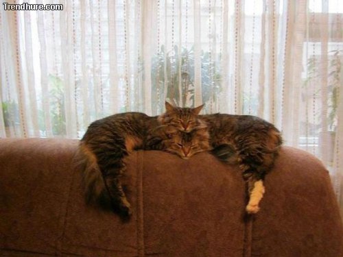 Richtiger Blickwinkel