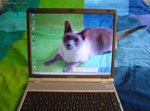 Richtiger Blickwinkel