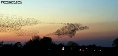 Der richtige Moment #21