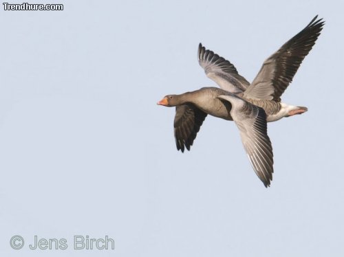 Der richtige Moment #21