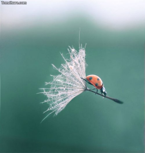 Der richtige Moment #21