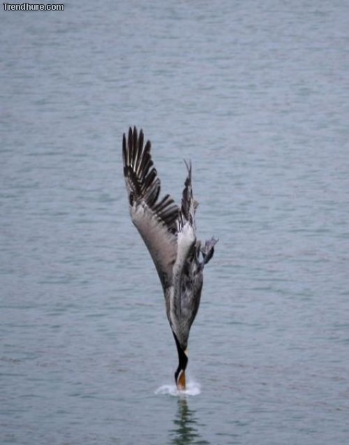 Der richtige Moment #21