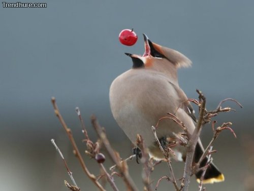 Der richtige Moment #21