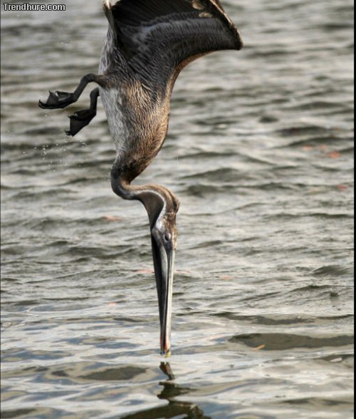 Der richtige Moment #22