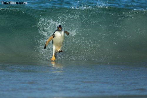 Der richtige Moment #22