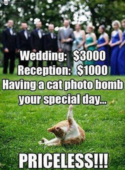 Hochzeitsmomente zerstören