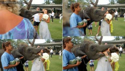 Hochzeitsmomente zerstören