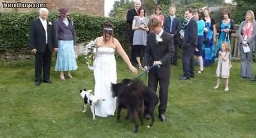 Hochzeitsmomente zerstören