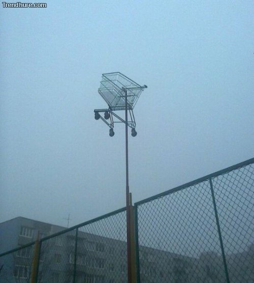 WTF-Fotos