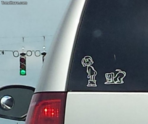 WTF-Fotos