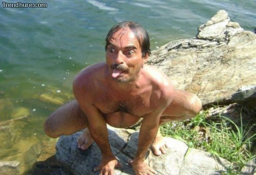 WTF-Fotos