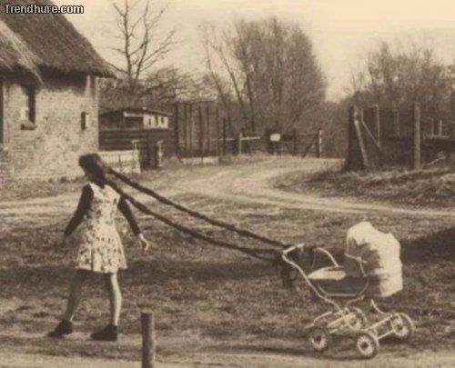 WTF-Fotos