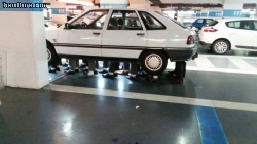 WTF-Fotos