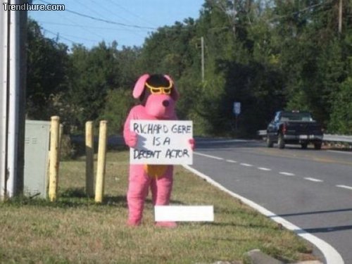 WTF-Fotos