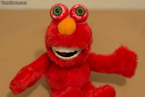 WTF-Fotos