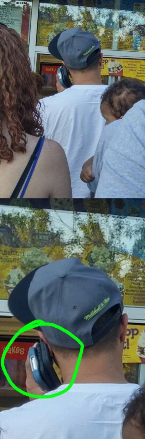 WTF-Fotos