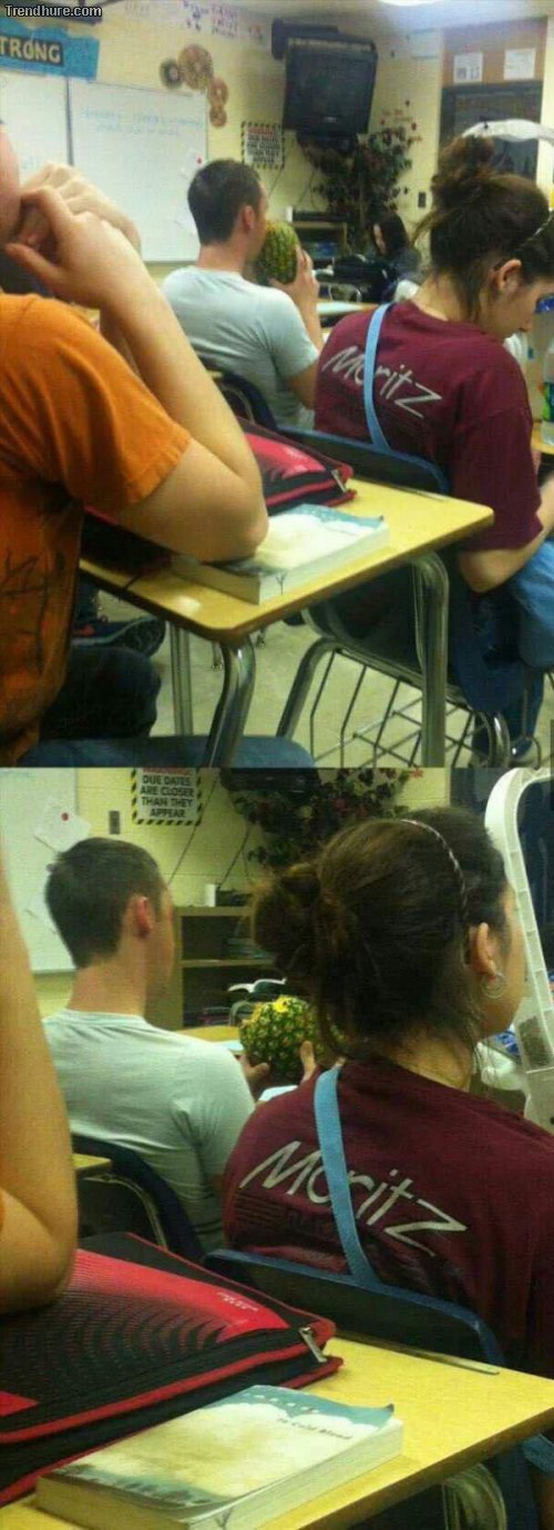 WTF-Fotos